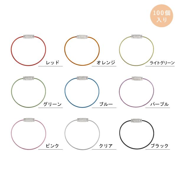 ワイヤーキーホルダー ワイヤーリング ねじ式 キーチェーン 推しカラー ビニールコーティング 12c...