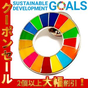 SDGs 国連ガイドライン対応  ピンバッジ バッチ バッヂ