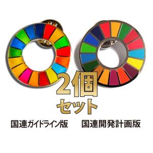 SDGs ピンバッジ バッジ 国連 17の目標 本部限定 正規品