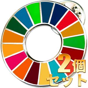 SDGs 国連ガイドライン対応 ピンバッジ バッチ バッヂ 17の目標 (平型)　2個セット｜daiou88888