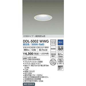 DAIKO DDL-5102YW ダウンライト 電球色 JAN 4955620625262 HAzaiko 