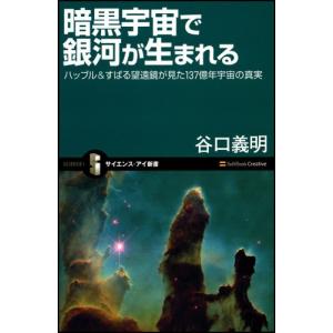 暗黒宇宙で銀河が生まれる(サイエンスアイ新書)/谷口義明｜dairihanbai