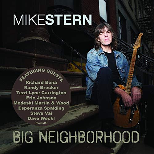 BigNeighborhood/MikeStern/中古CD