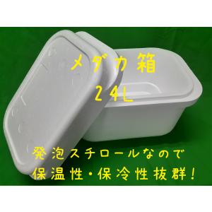 メダカ元気 GEX メダカ元気 快適繁殖ケース L めだか 屋外 水槽 お