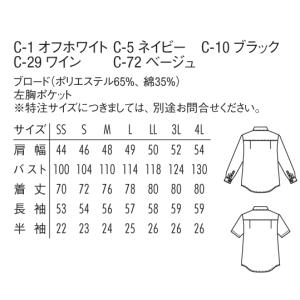 スタンドカラーシャツ 長袖 チトセ arbe ...の詳細画像1