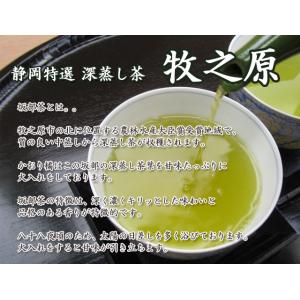 静岡県産 製茶問屋 茶商 セレクト 深蒸し茶 ...の詳細画像3