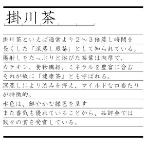 深蒸し茶 静岡 掛川茶 100g 袋 パック ...の詳細画像3