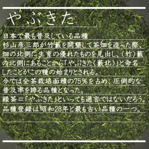 深蒸し茶 静岡 掛川茶 100g 袋 パック ...の詳細画像4