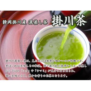 深蒸し茶 静岡 掛川茶 100g 袋 パック ...の詳細画像1