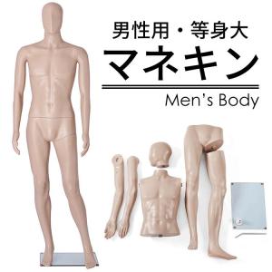 男性用マネキンGM-2S 185cm 等身大マネキン スキンカラー メンズ 全身マネキン紳士用 店舗用品 KYT｜daisei120