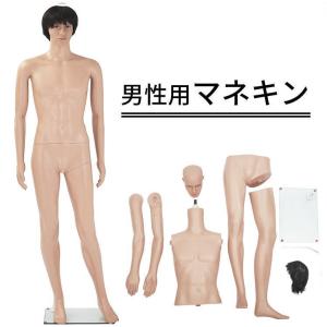 男性用マネキンGM-2 等身大186ｃｍ 全身マネキン紳士用 店舗用品 業務用 MK-3656Y