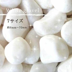 風水砂利ホワイト 白玉石 10kg 10〜15mm : 建築金物 SHOP - 通販 