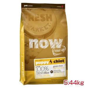 【PET】※おまけ付き※【送料無料】【NOW FRESH】ナウ フレッシュ　グレインフリー　パピー　5.44kg　JAN：0815260003353【MA】｜daishin-bussan2