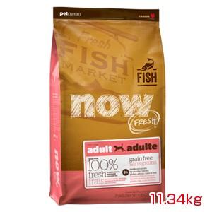 【PET】※おまけ付き※【送料無料】【NOW FRESH】ナウ フレッシュ　グレインフリー　フィッシュアダルト　11.34kg　JAN：0815260003940【MA】｜daishin-bussan2