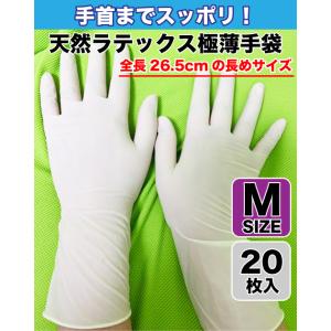 在庫わずか！天然ラテックス手袋　20枚入り　パウダーフリー　使い捨て　天然ゴム極薄手袋