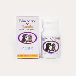 犬猫用 アイショットクリア 120粒入 : くすりの勉強堂 アネックス