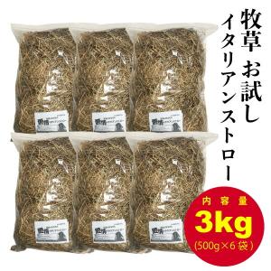 【６袋セット】牧草 愛情イタリアンストロー 3kg(500g×6袋) 【令和２年産】　アメリカ産 イタリアン　うさぎ　モルモット　チンチラ　小動物　牧草 送料無料｜daishin-bussan2