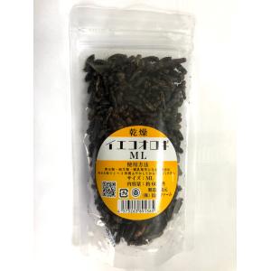 乾燥 イエコオロギ 約50g(約600匹) ML...の商品画像