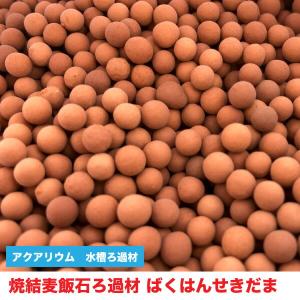 国産 麦飯石 (美濃白川産) 1kg 【LLサイズ：約30mm〜40mm】 ばくはん