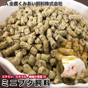 お試しパック ミニブタ飼料 800g ミニブタ ペレット マイクロブタ ビタミン ミネラル 繊維が豊富 ミニブタ フード 飼料 ペレット メール便送料無料【DBP】｜daishin-bussan2