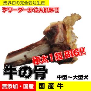 鹿レッグボーン 3本 アニマルシェ公式 宮崎県 霧島産 無添加