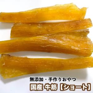 やぎとひつじのごはん 山羊・羊プレミアムフード 【20kg】【再利用米袋