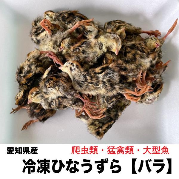 【1kg】最安挑戦　冷凍　国内加工 愛知県産　ひなうずら バラ 雛ウズラ 1kg【クール便配送】 ※...