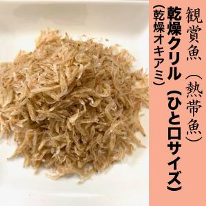 【100g】熱帯魚 乾燥クリル(乾燥オキアミ) 【ひと口サイズ】 中型魚 大型熱帯魚 海水魚のエサ ...