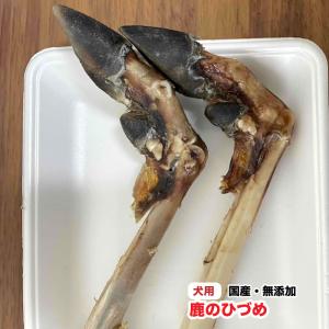 Mazuri マズリ 5M6C インセクティボア ダイエット フード 11.3kg 食虫