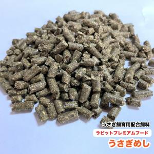 うさぎめし　ラビットプレミアムフード　【1kg】　ウサギ飼育用配合飼料　うさぎ飼料　メール便送料無料【DBP】｜daishin-bussan2