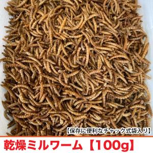 マウス・ラット・ハムスター用MF(基礎飼料) 1kg 小動物フード【N
