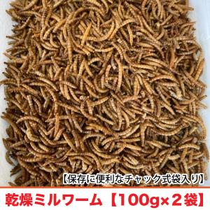 送料無料＞マウス・ラット・ハムスター用MF(基礎飼料) 10kg 小動物