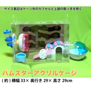ジャンガリアンハムスター飼育セット/飼育ケース ハムスターケージ