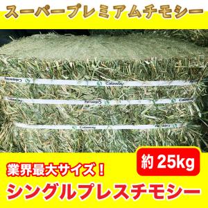 牧草 チモシー ダブルプレス 約30kg 1番刈り(アメリカ産) 令和6 牧草 チモシー ダブルプレス 約30kg 1番刈り(アメリカ産) 令和6
