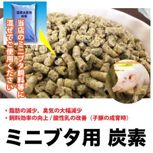 ミニブタ飼料用　配合炭素　【100g】ミニブタの健康に　飼料に添加　 脂肪減少　臭気減少　飼料効率向上　ミニブタ ペレット マイクロブタ 【DBP】｜daishin-bussan2