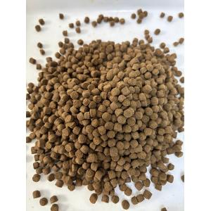 おとひめ EP-4 (4.1mm) 100g 沈...の商品画像