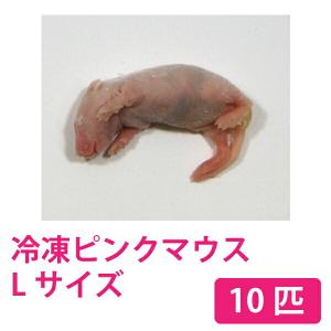 富城物産 冷凍 ピンクマウス Lサイズ(約4.0...の商品画像