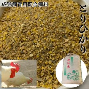 【30kg】にわとり えさ 鶏 飼料 とりひかり 鳥光 【再利用米袋使用】 成鶏飼育用配合飼料 にわとり えさ 鳥光 鳥の餌 養鶏 鶏 エサ 送料無料【DBP】