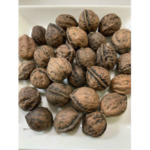 小動物・小鳥用 殻付き 国産 和くるみ（天然）【200g(約25個前後