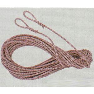 PPトラックロープ呼径×長さ：12×20(mm)×(m)【P1220】【K】