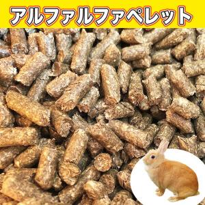 500g】草食動物用飼料 ZC ペレット(固型 8mmφ) ウマ ヒツジ 山羊 陸