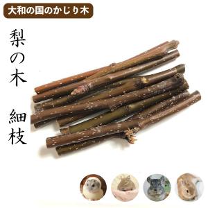 500g】草食動物用飼料 ZC ペレット(固型 8mmφ) ウマ ヒツジ 山羊 陸