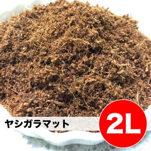 最安挑戦 ヤシガラ ヤシガラマット 【2L】 爬虫類 両生類 小動物 昆虫　床材 敷き材 細かい ふわふわ ハスク パームマット トカゲ イグアナ【DBP】