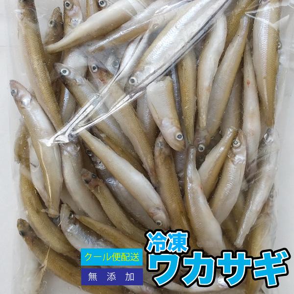 【5袋セット】冷凍餌 冷凍ワカサギ 【約2.5kg(約500g×5P)】 約8cm前後 わかさぎ 大...