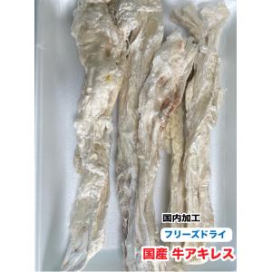 犬 ペット用　無添加　フリーズドライ　国産　牛アキレス【500g】【国内加工】　牛アキレス　アキレス...