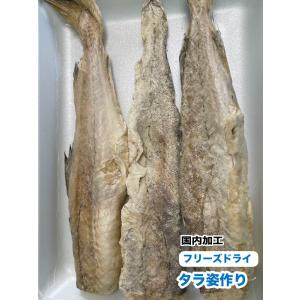 犬 猫 ペット用　無添加　フリーズドライ　たら姿作り【100g】【国内加工】　タラの身1本　鱈　たら...