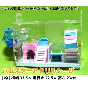 ジャンガリアンハムスター飼育セット/飼育ケース ハムスターケージ