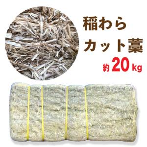アメリカ産 アルファルファ ヘイキューブ 約30kg(1個あたり：約30g