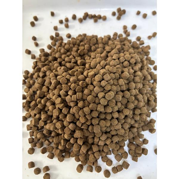 メール便送料無料 おとひめ EP-4 (4.1mm) 1kg(500g×2p) 沈降性 大粒 乙姫【...