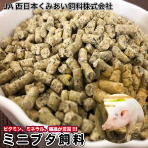 ミニブタ飼料 20kg  ミニブタ ペレット マイクロブタ ビタミン